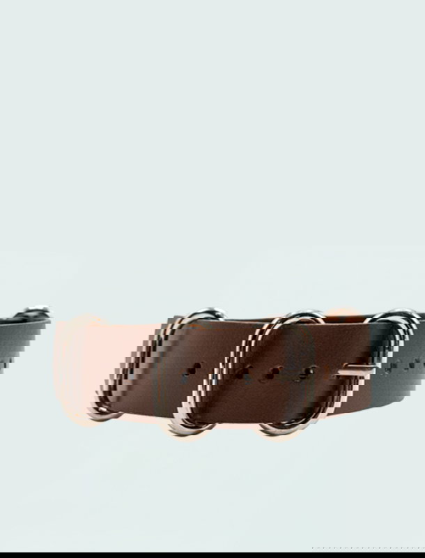 backdrop-card-3-zulu